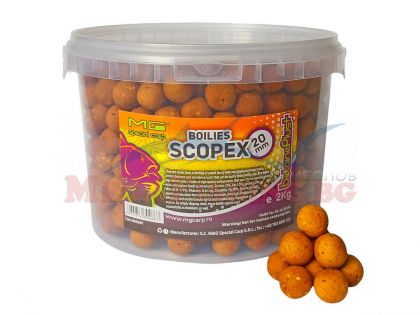 Протеинови топчета MG Special Carp Betaine Plus+ - Scopex 2кг
