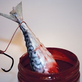 Дип за Сом Dynamite Squid Liver Catfish Hookbait Dip