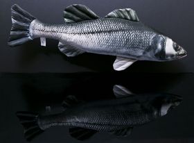 Възглавничка Sea Bass 70 см